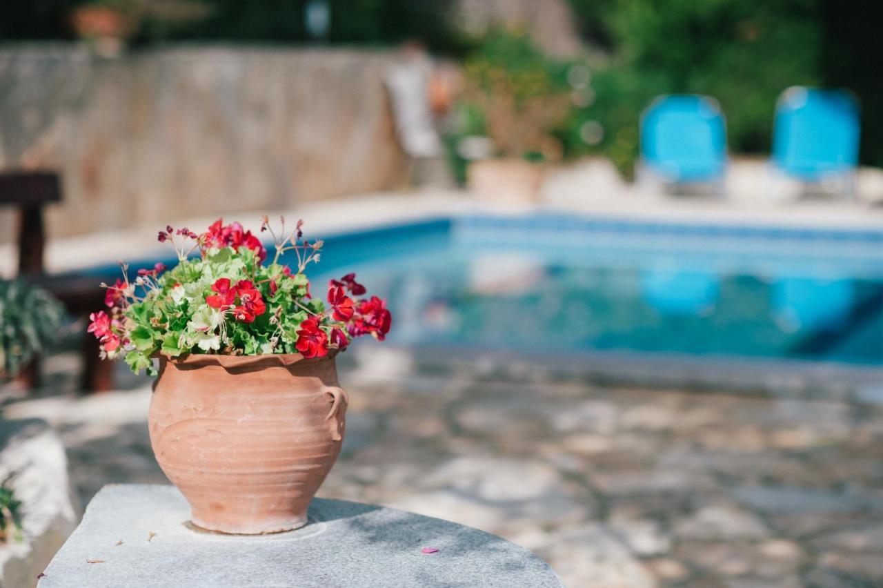 Villa Toula With Pool Nr Armeni Crete Makhairoi Экстерьер фото